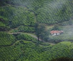 Kerala tour packages with all budgets and preferences